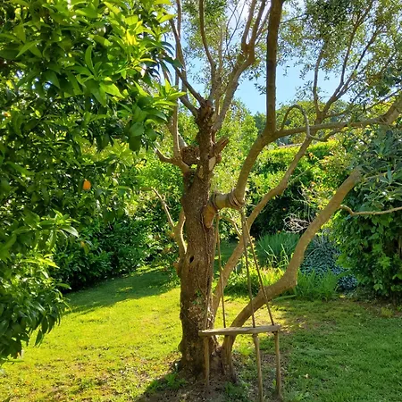 別荘 Quinta Do Reijaco ヴィエイラ・ド・ミーニョ