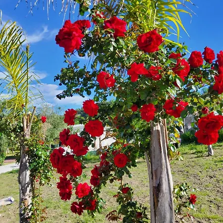 Quinta Do Reijaco *