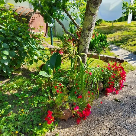 別荘 Quinta Do Reijaco ヴィエイラ・ド・ミーニョ