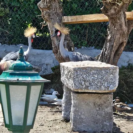 Nyaraló Quinta Do Reijaco