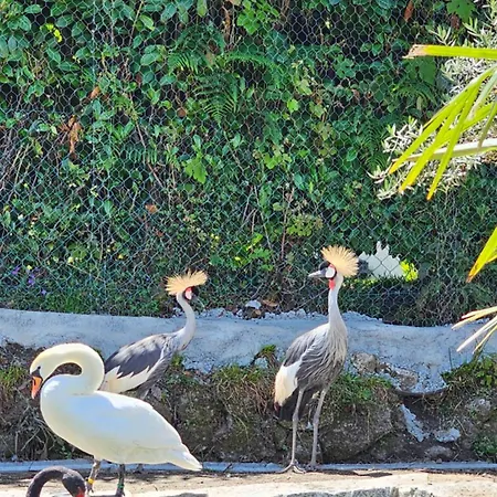 Quinta Do Reijaco 別荘