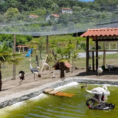 Quinta Do Reijaco Nyaraló Vieira do Minho