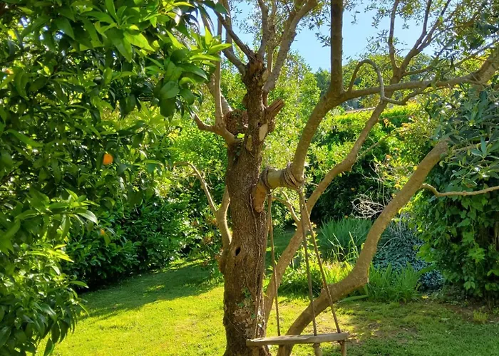 Сasa de vacaciones Quinta Do Reijaco Vieira do Minho