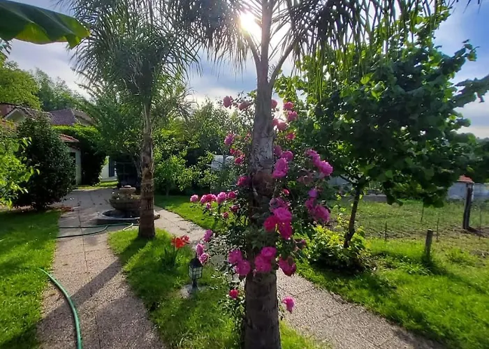 Quinta Do Reijaco Ferienhaus *