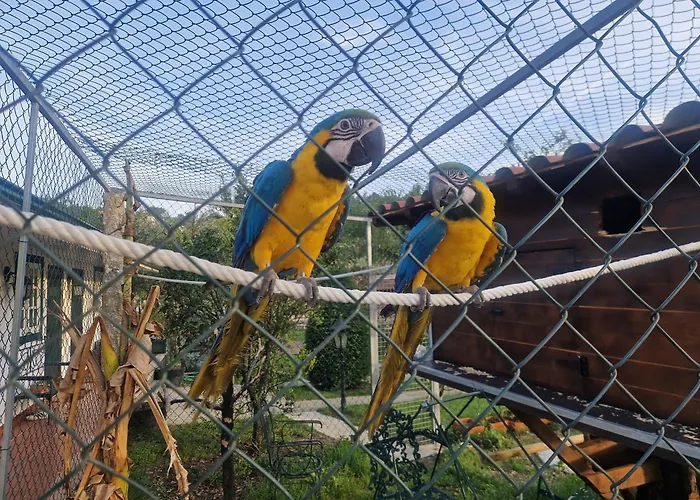 Quinta Do Reijaco Ferienhaus