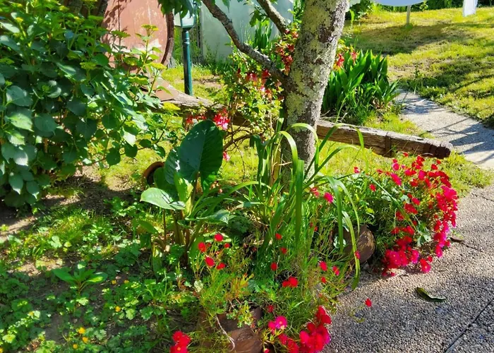 Ferienhaus Quinta Do Reijaco Vieira do Minho