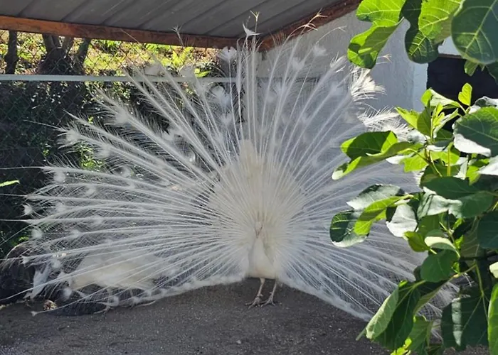 Quinta Do Reijaco Ferienhaus *