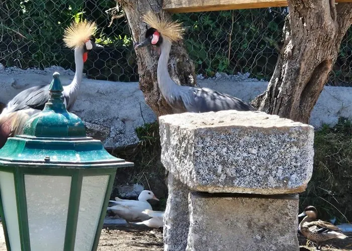 Ferienhaus Quinta Do Reijaco