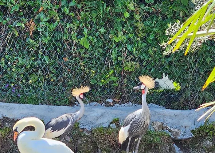 Quinta Do Reijaco Ferienhaus