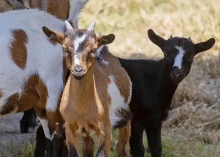 Quinta Do Reijaco Holiday home