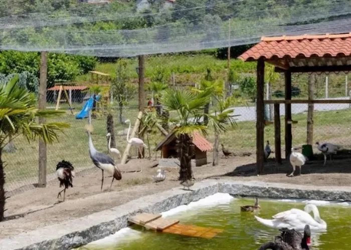 Quinta Do Reijaco Ferienhaus Vieira do Minho