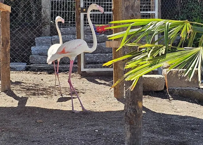 Quinta Do Reijaco Holiday home Vieira do Minho